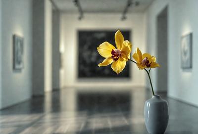 The primary subject of the image is a vase filled with yellow flowers, placed on a table. The setting is a room with a white wall, and the visual style appears to be a photo. The dominant colors in the image are yellow and white, creating a warm and inviting atmosphere.