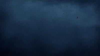The primary subject of the image is a bird flying in the sky. The bird is positioned towards the top right corner of the image. The setting is a dark blue sky, which creates a moody atmosphere. The visual style appears to be a photo, capturing the bird in flight. The colors and mood of the image are predominantly dark and dramatic, with the bird being the only bright spot in the sky.