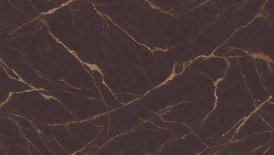 The primary subject of the image is a marble wall with a brown and gold color scheme. The setting is a room with a brown and gold marble floor. The visual style is a close-up of the marble wall, showcasing its intricate patterns and textures. The colors and mood of the image are warm and luxurious, evoking a sense of sophistication and elegance.
