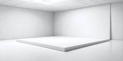 The primary subject of the image is a large, empty white room with a white floor. The setting is a white room with a white floor, and the visual style is a photo. The room appears to be a large, empty space with no furniture or decorations, giving it a minimalist and clean appearance.