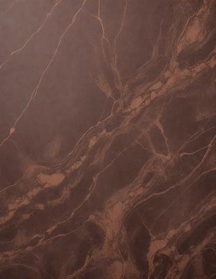 The image features a brown marble wall with a unique pattern of holes. The wall appears to be made of stone, and the holes are scattered throughout the surface. The setting is a room with a brown color scheme, giving the space a warm and inviting atmosphere. The visual style of the image is a close-up of the marble wall, highlighting the intricate pattern of the holes.