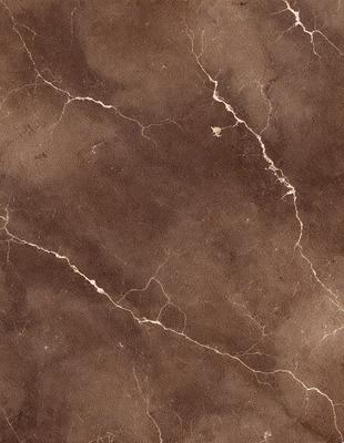 The image features a brown marble-like surface with a pattern of cracks and crevices. The setting appears to be a room with a brown color scheme. The visual style is a close-up of the marble surface, showcasing its unique texture and pattern. The dominant colors in the image are brown and beige, creating a warm and earthy atmosphere.