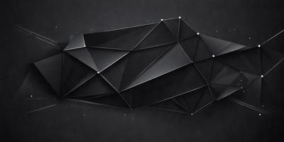 The primary subject of the image is a geometric pattern, which is a black and white design. The setting is a black background, which contrasts with the pattern. The visual style is a combination of digital art and illustration, creating a unique and intricate design. The colors and mood of the image are predominantly black and white, giving it a modern and minimalist appearance.