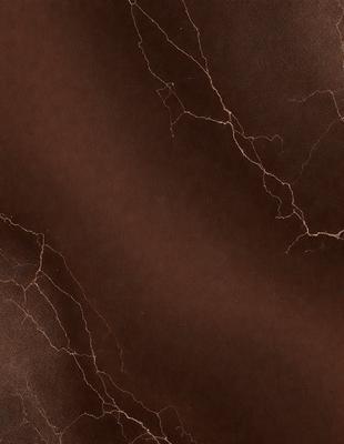 The primary subject of the image is a close-up of a brown leather surface with a pattern of lightning bolts. The setting is a dark room, and the visual style appears to be a combination of a photo and a digital art or illustration. The dominant colors are brown and black, creating a moody atmosphere.