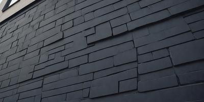 The primary subject of the image is a large, dark brick wall. The setting is an outdoor environment, with the brick wall being the main focus of the scene. The visual style of the image is a photo, capturing the brick wall in its natural state. The colors and mood of the image are dark and moody, with the brick wall being the dominant feature in the scene.