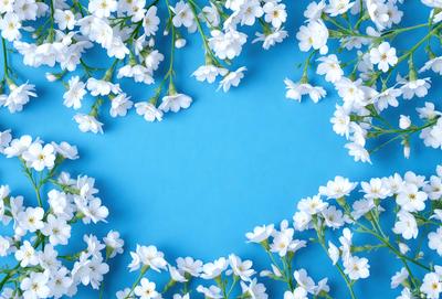 The primary subject of the image is a bouquet of white flowers, which are arranged in a circular pattern on a blue background. The visual style of the image is a photo, and the dominant colors are white and blue. The overall atmosphere of the image is serene and calming, with the white flowers symbolizing purity and innocence.