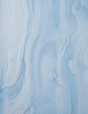 The primary subject of the image is a blue and white marbled wall. The setting is a room with a blue and white marbled wall as the main focus. The visual style is a close-up of the marbled wall, showcasing its intricate patterns. The colors and mood of the image are predominantly blue and white, creating a calm and serene atmosphere.