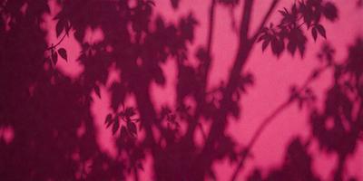 The primary subject of the image is a tree with a pink background. The tree is surrounded by a forest of trees, creating a serene and natural atmosphere. The visual style of the image is a combination of photo and digital art, giving it a unique and artistic appearance. The dominant colors in the image are pink and green, with the pink background creating a warm and inviting mood.