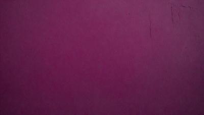 The primary subject of the image is a purple wall. The setting is a room with a purple wall, and the visual style is a close-up of the wall. The dominant colors are purple, and the overall atmosphere is calm and serene.