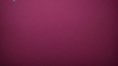 The primary subject of the image is a large, pink wall. The setting is a room with a pink background, and the visual style is a close-up of the wall. The dominant colors in the image are pink, and the overall atmosphere is warm and inviting.