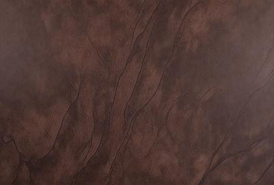 The primary subject of the image is a brown leather surface with a pattern of tree branches. The setting is a room with a brown wall, and the visual style is a close-up of the leather surface. The colors and mood of the image are warm and earthy, with the brown leather and tree branch pattern creating a natural and cozy atmosphere.