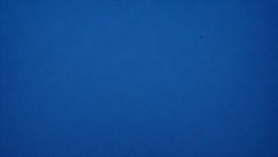 The primary subject of the image is the sky, which is a deep shade of blue. The setting is a vast, open space with no visible landmarks or objects. The visual style is a natural, outdoor scene with no indication of digital manipulation or artistic elements. The colors and mood convey a sense of tranquility and calmness, as the sky appears to be void of any disturbances or activity.