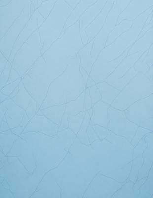 The primary subject of the image is a blue wall with a pattern of white lines. The setting is a room with a blue background. The visual style is a close-up of the wall, showcasing the intricate pattern of the white lines. The colors and mood of the image are predominantly blue, creating a calm and serene atmosphere.