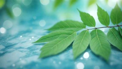 The primary subject of the image is a green leaf, which is the main object, scene, or focus of the image. The leaf is placed on a blue surface, which serves as the setting or background. The visual style of the image is a photo, capturing the natural beauty of the leaf. The dominant colors in the image are green and blue, creating a calm and serene atmosphere.