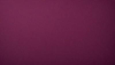 The primary subject of the image is a large, purple wall. The setting is a room with a purple background, and the visual style is a close-up of the wall. The colors and mood of the image are predominantly purple, creating a calm and serene atmosphere.