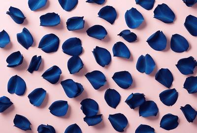 The primary subject of the image is a large number of blue flowers arranged in a pattern on a pink background. The flowers are scattered throughout the scene, creating a visually appealing and vibrant display. The visual style of the image is a combination of photo and digital art, as it captures the beauty of the flowers in a realistic yet artistic manner. The dominant colors in the image are blue and pink, which evoke a sense of freshness and warmth. Overall, the image conveys a sense