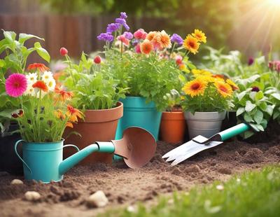 The primary subject of the image is a garden with various potted plants and flowers. The setting is a garden with a dirt area where the potted plants are placed. The visual style is a photo of the garden, showcasing the different types of flowers and plants. The colors and mood of the image are vibrant and lively, with the flowers and plants adding a sense of freshness and natural beauty to the scene.