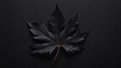 The primary subject of the image is a black leaf, which is the main object, scene, or focus of the image. The leaf is placed on a black background, which creates a dramatic and moody atmosphere. The visual style of the image is a photo, capturing the details and textures of the leaf. The colors in the image are predominantly black, with the leaf being the only visible object, giving the image a stark and minimalist appearance.