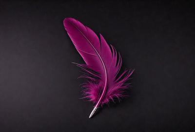 The primary subject of the image is a pink feather, which is the main object in the scene. The feather is placed on a black background, creating a striking contrast. The visual style of the image is a close-up of the feather, showcasing its details and texture. The dominant colors in the image are pink and black, giving the scene a bold and striking appearance.