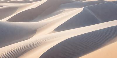 The image features a sandy landscape with a prominent sand dune. The dune is covered in sand, giving it a natural and textured appearance. The primary subject of the image is the sand dune, which is the main focus of the scene. The setting is a desert environment, with the sand dune being the most prominent element in the background. The visual style of the image is a photo, capturing the natural beauty of the sand dune. The colors and mood of the image are predominantly warm and earthy