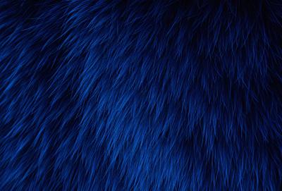The primary subject of the image is a blue, furry object that appears to be a pattern or texture. The setting is a black background, which contrasts with the blue fur. The visual style is a close-up of the blue fur, showcasing its texture and details. The colors and mood of the image are predominantly blue, creating a calm and serene atmosphere.