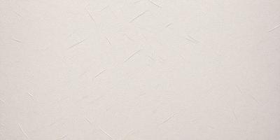 The primary subject of the image is a white wall with a textured surface. The setting is a room with a plain white wall, and the visual style is a close-up of the wall. The colors and mood of the image are predominantly white, giving it a clean and minimalist appearance.