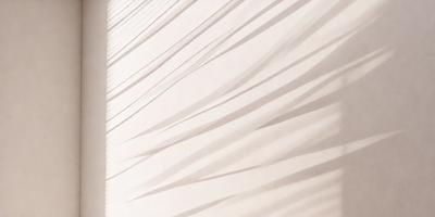 The primary subject of the image is a white wall with a pattern of long, thin, curved lines. The setting is a room with a white background, and the visual style appears to be a combination of a photo and a drawing. The colors and mood of the image are predominantly white, creating a clean and minimalist atmosphere.