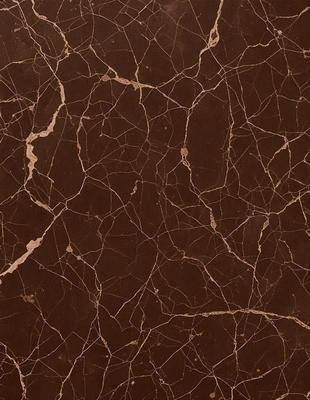 The primary subject of the image is a close-up of a marble wall with a brown and white pattern. The setting is a room with a brown and white marble wall, which serves as the background. The visual style is a close-up of the marble wall, showcasing its texture and pattern. The colors and mood of the image are predominantly brown and white, giving it a natural and elegant appearance.