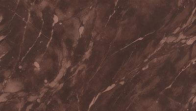 The primary subject of the image is a close-up of a marble wall with a brown color. The setting is a room with a brown marble wall, and the visual style is a photo. The colors and mood of the image are warm and earthy, with the brown marble wall as the main focal point.