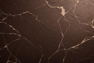 The primary subject of the image is a close-up of a marble wall with a brown and gold color scheme. The setting is a room with a brown and gold marble wall, which serves as the background. The visual style is a close-up of the marble wall, showcasing its texture and pattern. The colors and mood of the image are warm and earthy, with the brown and gold tones creating a sense of luxury and sophistication.