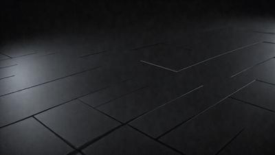 The primary subject of the image is a black and white floor, which appears to be a tiled surface. The setting is a dark room, and the visual style is a black and white photo. The colors and mood of the image are predominantly dark and moody, with the black and white tiles creating a sense of depth and contrast.