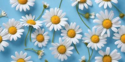 The primary subject of the image is a close-up of white flowers with yellow centers. The flowers are arranged in a pattern, creating a visually appealing scene. The setting is a blue background, which adds a vibrant and lively touch to the image. The visual style is a combination of photo and digital art, resulting in a realistic yet artistic representation of the flowers. The colors and mood of the image are predominantly white and yellow, giving it a fresh and cheerful atmosphere.