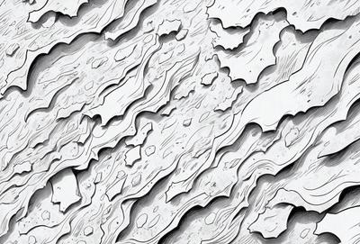 The primary subject of the image is a close-up of a rocky surface with a lot of texture. The setting is a rocky environment, and the visual style is a black and white drawing. The dominant colors are shades of gray, and the overall atmosphere is rugged and natural.