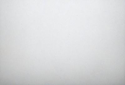 The primary subject of the image is a white wall. The setting is a room with a white wall, and the visual style is a photo. The colors and mood of the image are predominantly white, giving it a clean and minimalist appearance.