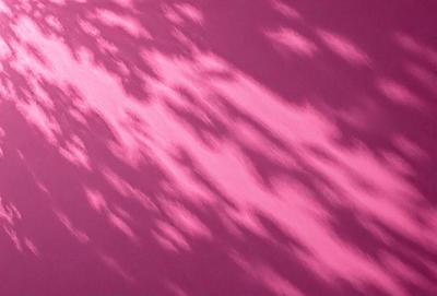 The primary subject of the image is a pink background with a cloudy sky. The setting is a purple wall with a cloudy sky in the background. The visual style is a digital art or illustration, creating a unique and artistic atmosphere. The dominant colors are pink and purple, giving the image a warm and calming mood.