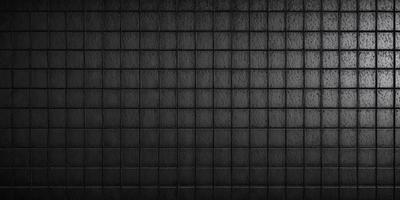 The primary subject of the image is a black and white tile wall. The setting is a black and white tile wall, which creates a monochromatic and textured appearance. The visual style is a black and white photo, giving the image a classic and timeless feel. The dominant colors are black and white, and the overall atmosphere is clean and minimalistic.