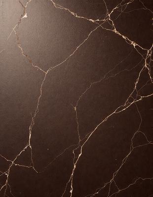 The primary subject of the image is a close-up of a marble countertop. The setting is a kitchen, with the countertop being the main focus of the scene. The visual style is a photo, capturing the natural texture and beauty of the marble surface. The colors and mood of the image are predominantly brown, giving it a warm and elegant appearance.