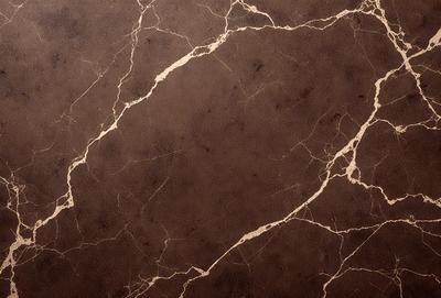 The primary subject of the image is a marble wall with a brown and tan color scheme. The setting is a room with a brown and tan color scheme. The visual style is a photo of a marble wall. The colors and mood of the image are warm and earthy, creating a natural and elegant atmosphere.