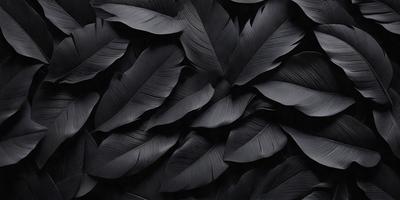 The primary subject of the image is a close-up of a black and white feather pattern. The setting is a black background, which creates a striking contrast with the feather pattern. The visual style is a combination of a photo and a digital art, illustration, or drawing. The dominant colors are black and white, with the black background providing a dramatic and moody atmosphere.