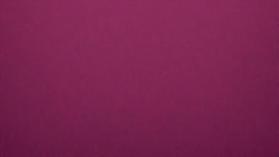 The primary subject of the image is a large, purple wall. The setting is a room with a pink background. The visual style is a close-up of the wall, showcasing its color and texture. The dominant colors are purple and pink, creating a warm and inviting atmosphere.