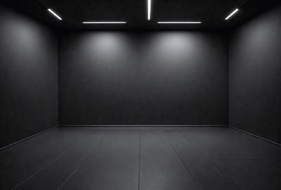 The primary subject of the image is a large, empty room with a black wall. The setting is a dark room with a grey floor, and the visual style is a black and white photo. The room appears to be a large, empty space with no furniture or decorations, giving it a stark and minimalist atmosphere.