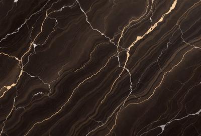 The primary subject of the image is a marble countertop with a gold-colored vein running through it. The setting is a kitchen, and the visual style is a close-up of the marble countertop. The colors and mood of the image are predominantly dark, with the gold vein adding a touch of warmth and sophistication to the overall atmosphere.