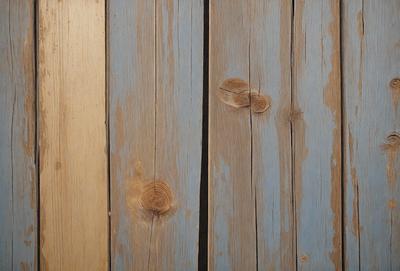 The primary subject of the image is a wooden plank with a blue background. The setting appears to be a wooden wall, possibly in a rustic or natural environment. The visual style of the image is a close-up of the wooden plank, showcasing its texture and details. The colors in the image are predominantly blue, giving the scene a calm and serene atmosphere.