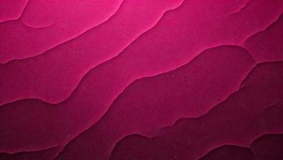 The primary subject of the image is a close-up of a pink surface, which appears to be a piece of fabric or a wall with a pinkish hue. The setting is a room with a pink background, and the visual style is a close-up of the pink surface. The colors and mood of the image are predominantly pink, creating a warm and inviting atmosphere.