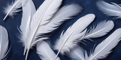 The primary subject of the image is a group of white feathers. The feathers are arranged in a visually appealing manner, creating a sense of depth and dimension. The setting is a blue background, which contrasts nicely with the white feathers. The visual style of the image is a close-up of the feathers, showcasing their intricate details. The colors and mood of the image are predominantly white, giving it a clean and serene atmosphere.