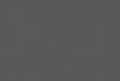 The primary subject of the image is a gray background. The setting is a gray surface, which serves as the backdrop for the image. The visual style is a grayscale, which gives the image a monochromatic appearance. The colors and mood of the image are predominantly gray, creating a calm and neutral atmosphere.
