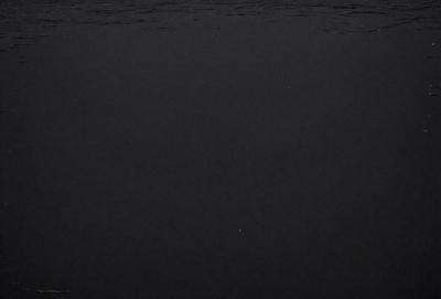 The primary subject of the image is a black and white photo of a body of water, possibly an ocean. The setting is a vast expanse of water, with no visible land or other objects. The visual style is a black and white photo, which adds a sense of timelessness and nostalgia to the scene. The colors and mood of the image are predominantly dark and moody, with the water and sky creating a dramatic and serene atmosphere.