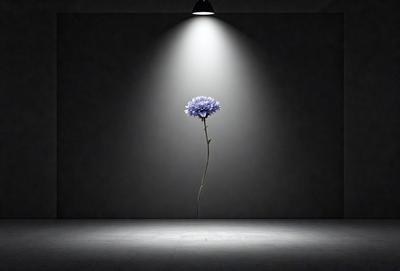 The primary subject of the image is a single purple flower, which is the main focus of the scene. The setting is a white wall, and the visual style appears to be a photo. The dominant colors in the image are white and purple, creating a calm and serene atmosphere.