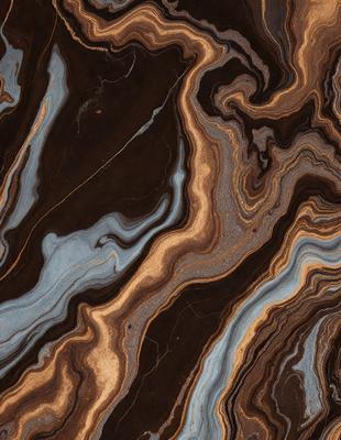 The primary subject of the image is a close-up of a marble-like stone with a swirling pattern. The setting is a natural environment, possibly a rock formation or a stone surface. The visual style is a close-up of the stone, showcasing its intricate pattern. The colors and mood of the image are predominantly earthy tones, giving it a natural and organic feel.
