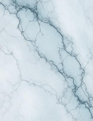 The image features a white marble wall with a blue tint, giving it a unique and elegant appearance. The wall is covered in a pattern of blue and white veins, creating a visually striking and textured surface. The overall atmosphere of the image is one of sophistication and beauty, with the marble wall serving as a stunning focal point.